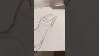Aucasaurus timelapse!!! :) #art #drawing #dinosaur #artist #paleoart #song