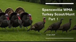 10 APR 2025  SPENCEVILLE WMA, CA  TURKEY SCOUT/HUNT PART 1