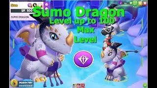 Sumo Dragon-Dragon Mania legends | 8 Star Legendary Sumo Level up to 100 |  DML