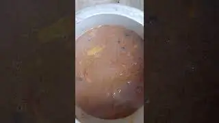 piralu  #video #food #recipe #youtube