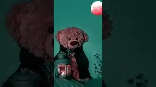 Teddy Day Romantic Status Video | Special Day Status Video