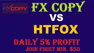 Fxcopy Vs Htfox Forex Trading, Daily Profit 80$ Earn #fxcopy #fxcopytrading #htfox #htfoxtradinglive