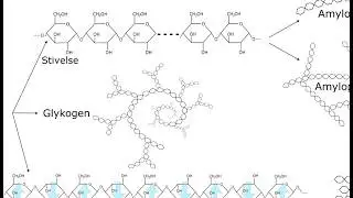 Kulhydrat   opbygning