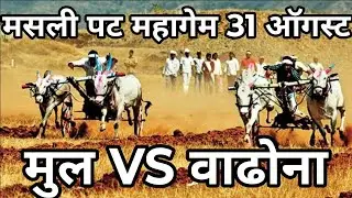 Masli pat mul VS Wadhona.  /. Wadhona VS mul 