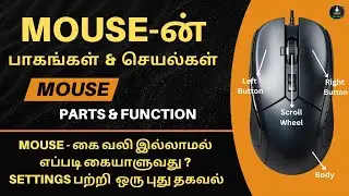 🖱️ Computer Mouse &ndash; Parts and Functions Explained!