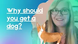 10 Reasons You Should Get a Dog!