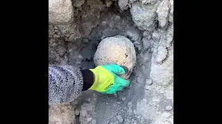 Best Lieber performance Archaeologist