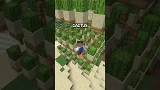 Finding the Best Way to Make Money on the Box SMP