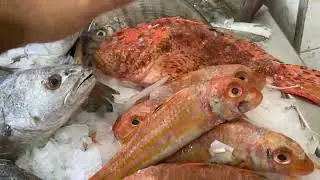 السلام عليكم ورحمة الله وبركاته سمك 🐠 🎣 الثلاثاء 23/09/2025 الجودة والثمن مزيان0664253637