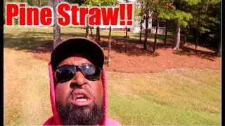 Pine Straw Installation!!