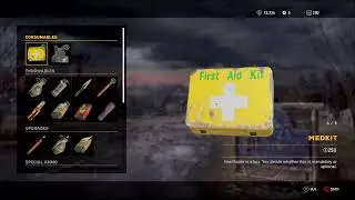 Far Cry 5- immersion gameplay