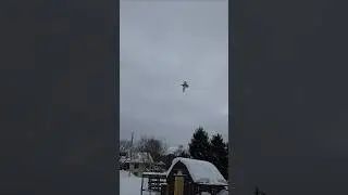 call duck flying
