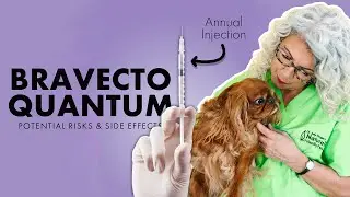 Injectable Bravecto Quantum aka Flea & Tick Med💉⚠️ Beware!