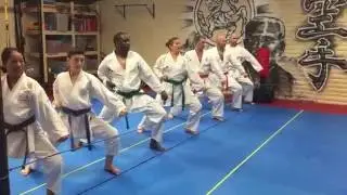Adult class. Students are practicing basics of karate - kihon.