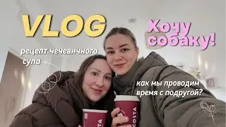 16 .Vlog | Хочу собаку | Вкуснейший суп и магазин, в котором можно купить ВСЕ!