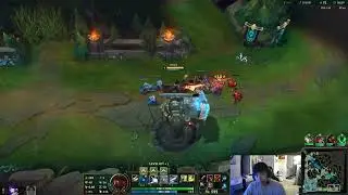 Crazy Game with Cow