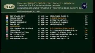 Carr.10 Premio:  BARTY NISTEL (2014) II 05-08-2025