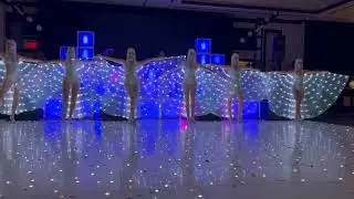 LED Wings Dance show by Athena Entertainment