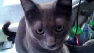 Riddick tries to look innocent