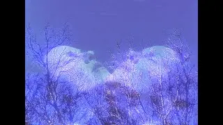 Words of Sara - The Flight (Official Video)