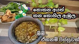 කන්නේ නැටි අයත් ඉල්ල ඉල්ල කන කොහිල 1M viws