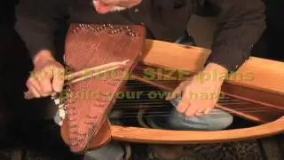 Ranchera on Harpolin ( combination harp and violin)