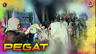 PEGAT. FILY KURCACI - INA SALSA