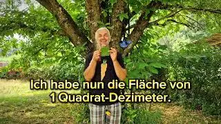 DIE QUADRATINSELN IN DER INSELWELT MATHLANTIS ... Fl&auml;chenmasse in der Natur messen