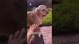 А ведь реально помогает!