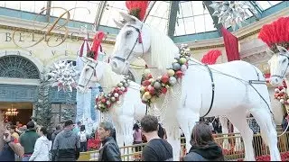Bellagio Las Vegas Conservatory Christmas Display 2018