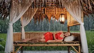 Complete Relax Rain Sounds in Rice Fields &ndash; Healing Nature Ambience