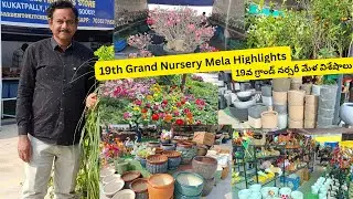 19th Grand Nursery Mela Highlights | 19వ గ్రాండ్ నర్సరీ మేళ విశేషాలు