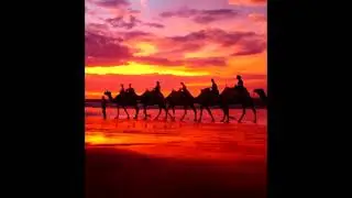 Sandal Maker | Robert Euvino | Stronghold Crusader OST