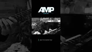 AMP DJ/BAND HYBRID | Jazz Trio Cocktail Hour | Long Island Wedding | Land's End Wedding