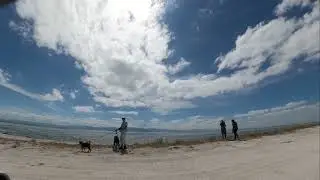 Ray's Rest Camping Reserve 2022 | Summer Beach | New Zealand North Island