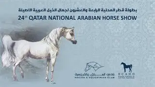24th Qatar National Arabian Horse Show - Day 2 - Season 2021 - 2022