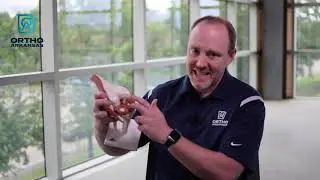 ACL Knee Injuries Explained