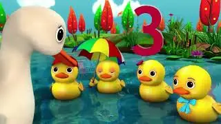 Nueva Voz - 4 patos