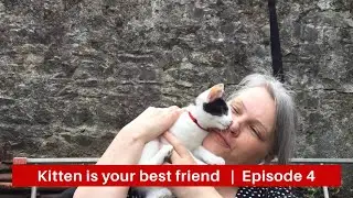 Kitten is your best friend | Rafiki enjoying backyard | Episode 4