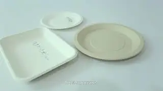 Sugar Cane Compostable Biodegradable Disposable Sugarcane Bagasse Paper Plates Tableware