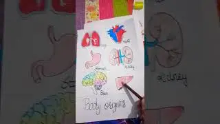 ☺Diagram body organs drawing#art #artsshorts #boldcolors