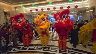 Chinese New Year Lion Dance - Lohan School of Shaolin - Caesar's Palace Las Vegas - 2/1/2025