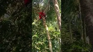 গাছে নাইকল পারার মজা টা আলেদা। নতুন ভিডিও। 2026 সালের। #video #viralvideo #trendingvideo 