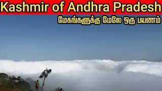 Kashmir of Andhra Pradesh / Lambasingi Cloud Beds / Vizag on Two Wheels / Episode 8