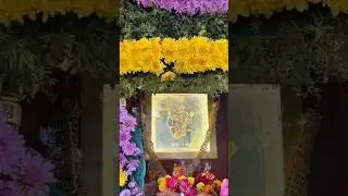 Meldi Maa❤️🥺🙇#trending #love #vadodara #meldi #meldiwada #meldinababy #meldisarkar #mandvi #meldimaa
