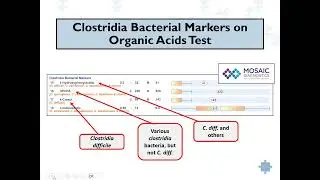 Clostridia Bacteria Induced Disease  - More Than a Digestive System Problem Webinar
