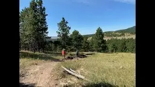 Hiking 101: Choosing A Hiking Trail