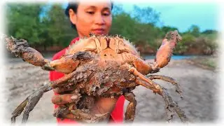 Good day catching mud crabs on Sunday evening | Life of a fisherman