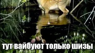 очень странно конечно зто все