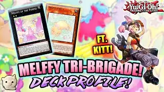 Yu-Gi-Oh! MELFFY TRI-BRIGADE DECK PROFILE!! FEB. 2021! w/ TEST HAND+COMBO! COMPETITIVE BUILD!!